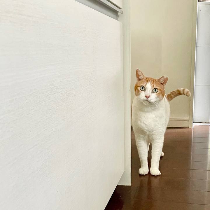 E33be408 58b0 4947 9edb bbef4df0e62c 1727153259283