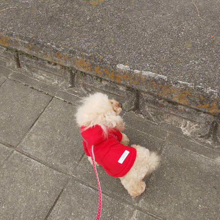 E33beaca ccd2 48e7 b101 83bf3e811c7e 1573906633113