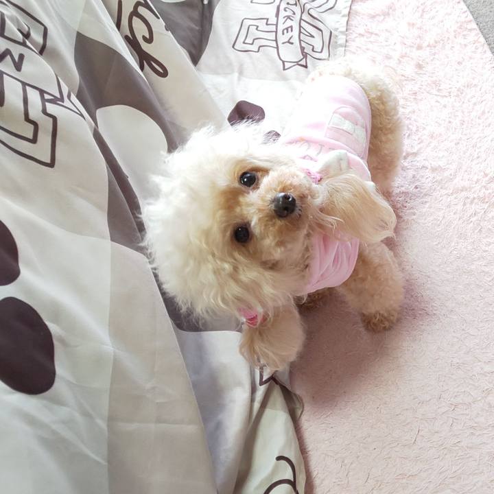 E33bf94e 2093 456e ae01 c1d16be410a6 1586434720600