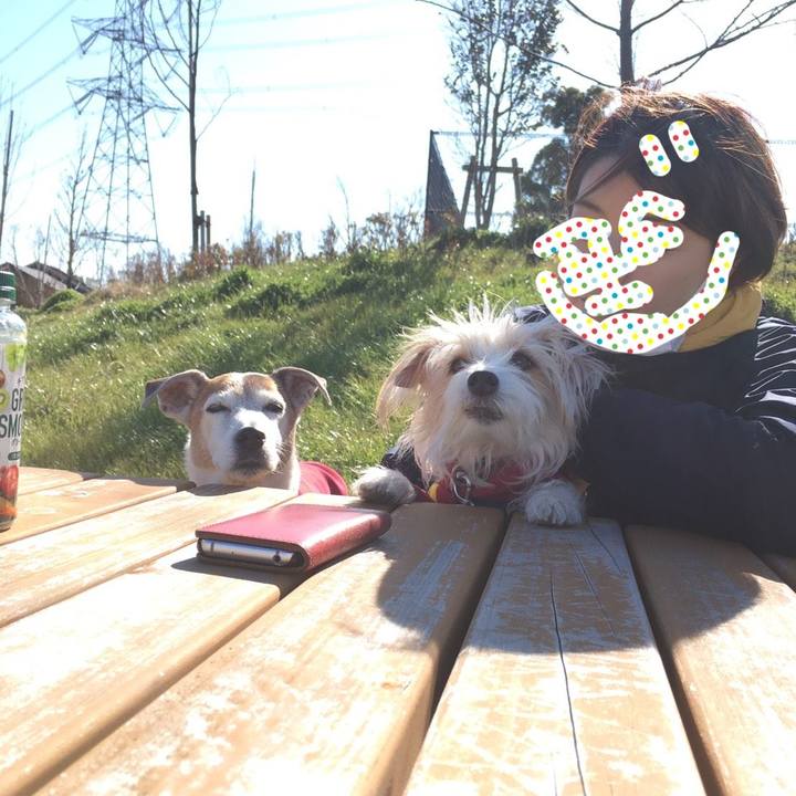 E33c357c 33f7 4606 9f9e 136488216701 1581423930051