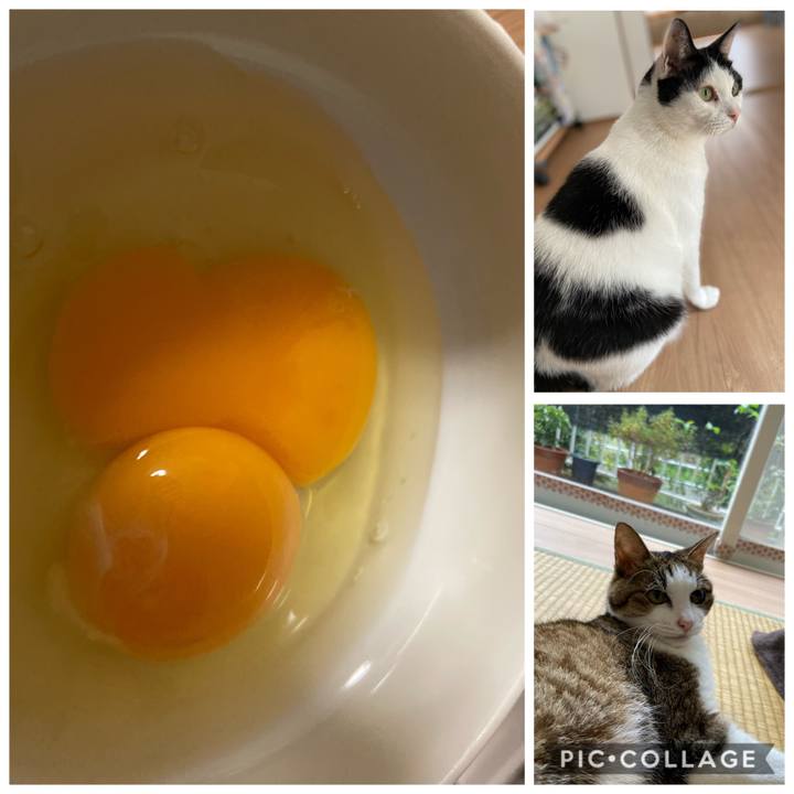 E33c5978 4767 40bd 9b51 21468eba9143 1571920070179