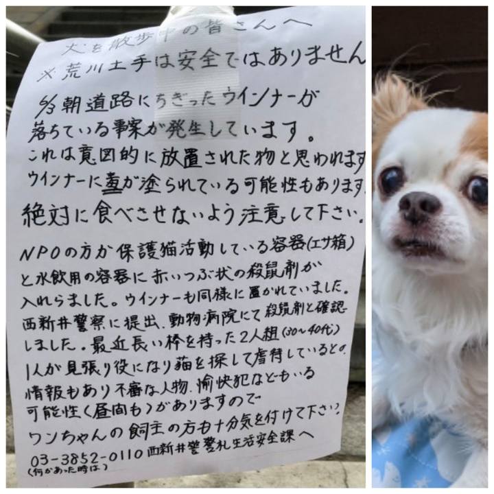 E33c5e1b 2638 45b8 8377 04fe4bf811d5 1623235560791