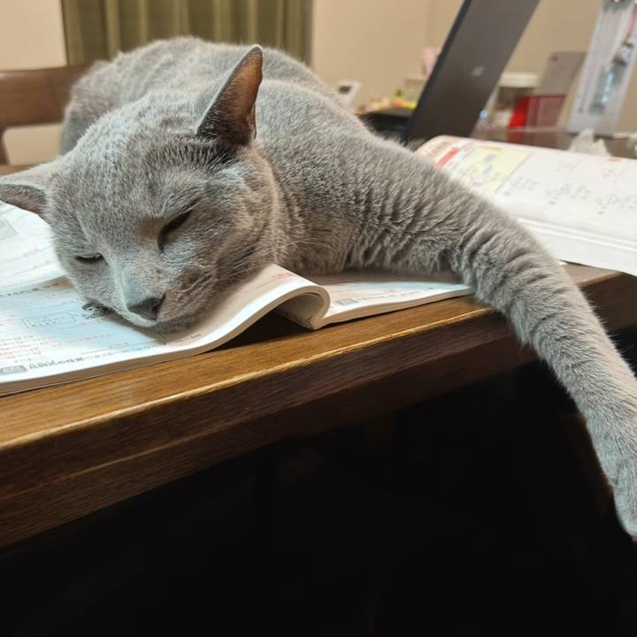 E33c71de 49d3 4b46 8e1c 3ed69bcc6fe3 1758590992668