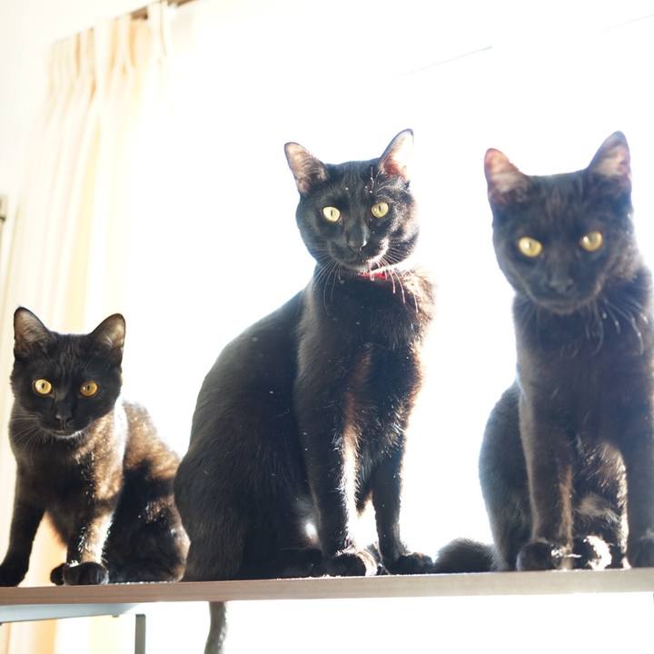 E33cb6ca 502f 470a a23d dbd62608967a 1512785290124