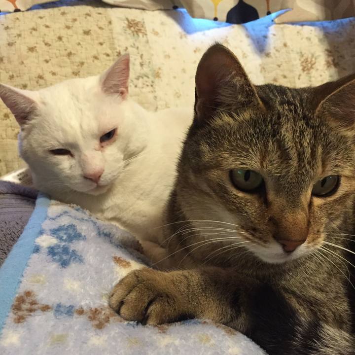 E33d0184 9e8f 4d63 9f21 64a510b1ec07 1547444598919