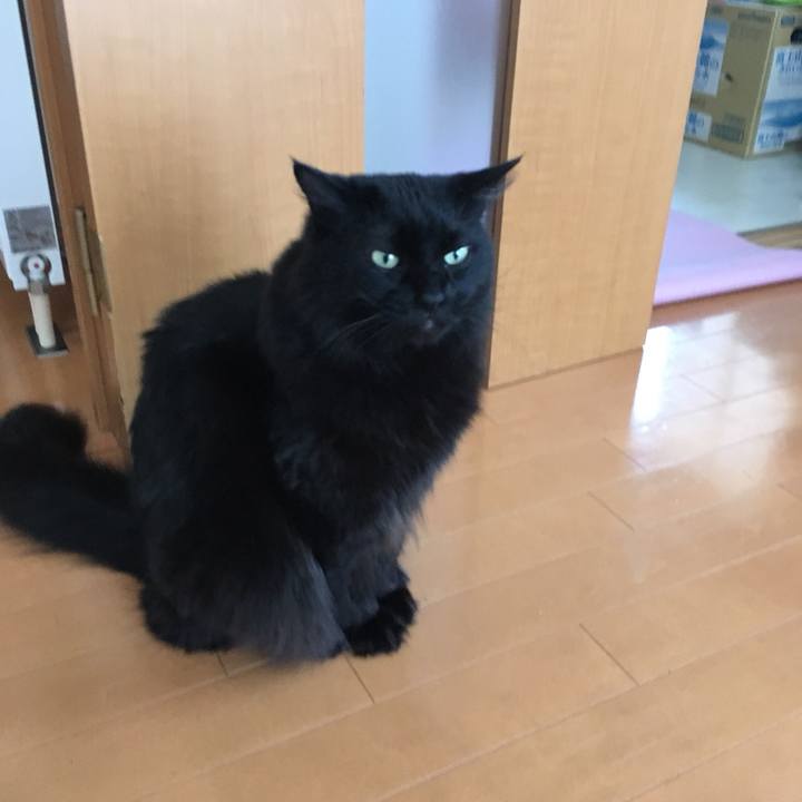 E33d45b0 72c3 4ce1 a38d fad307a09b34 1517818458300