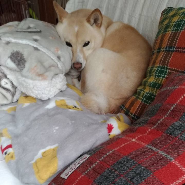 E33d4969 0946 42d5 bfaf 2a3ace5f63da 1611704740381