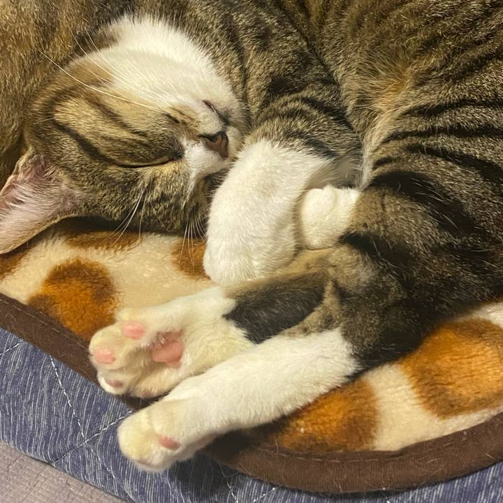 E33d4e6b 292f 4be0 8a51 b39cd03ceb44 1619656353627