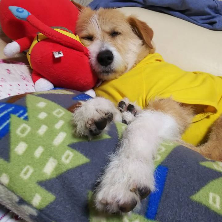 E33d8941 4a73 4c9b 9c2e 26f6a0f9acec 1555372967712