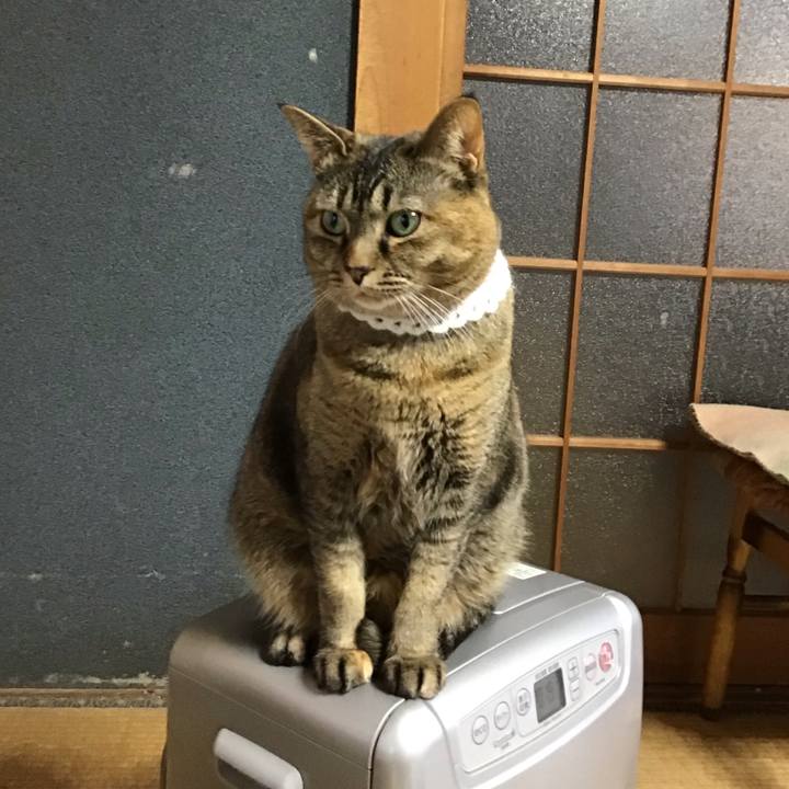 E33dda8a 4cde 4ad7 9a8b 455345b6fde5 1740975114234