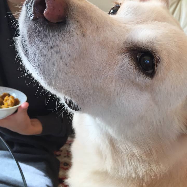 E33e4220 5dad 42ea 80de 35bfd73b65d4 1510824995446