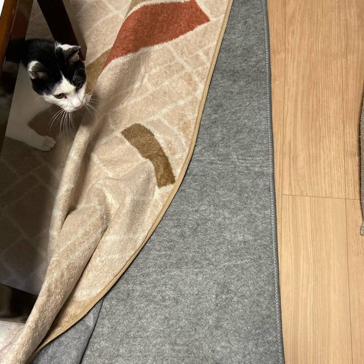 E33e4d63 232a 47c6 a1ff e5912c2b434a 1572953989912