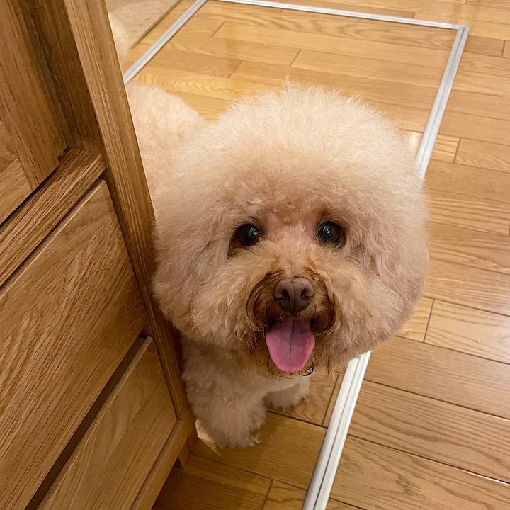 E33e70d1 5201 49f0 8ba4 2145cee0b0da 1623407832682