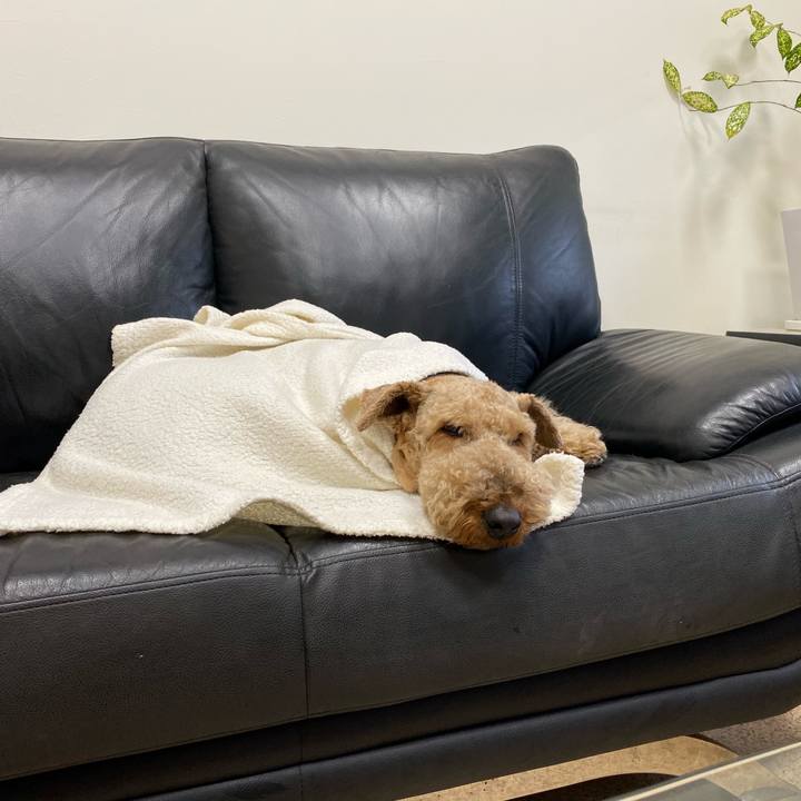 E33e8d24 9eec 49eb b12e 3fa7f7d87088 1583846179127