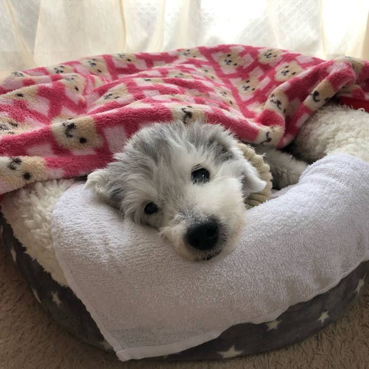 E33ede32 bad3 4249 821e 9c09362006dc 1669613790684