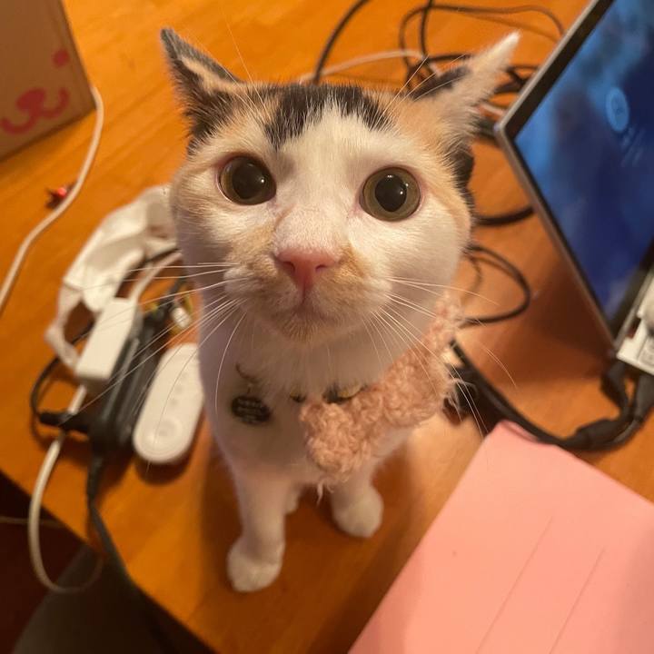 E33f3f11 1a5d 4966 9ca8 0e1ff09939de 1668947237307