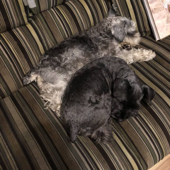 E33f7a69 c853 4abc b494 ce2d1391ba79 1520253482709