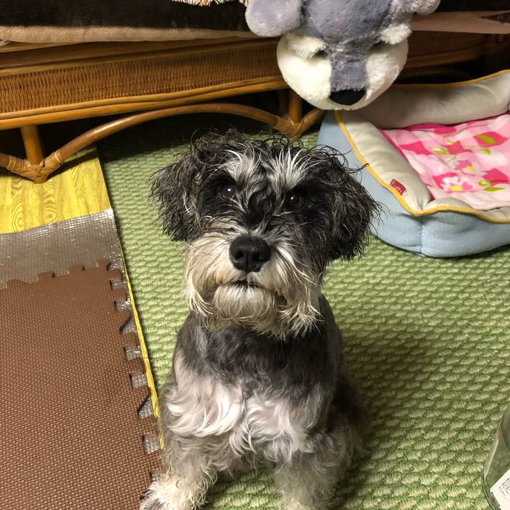 E33f8f24 5041 4747 9a8f 3b97aa6995ad 1541762985482