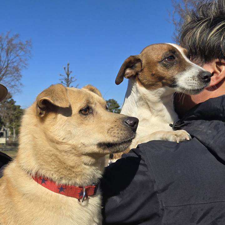 E33fe5db 6d85 43e6 b03c 2c520efbd252 1769259729320