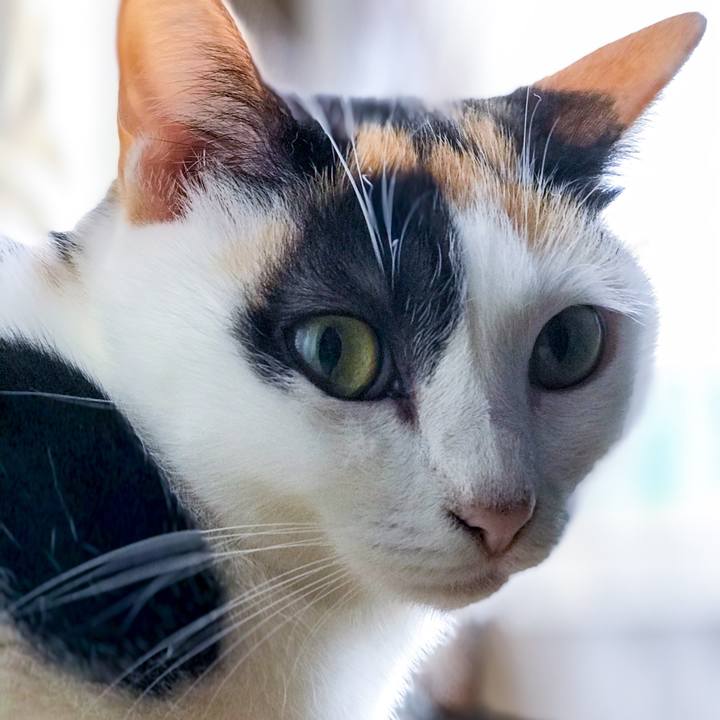 E3401944 e22b 423f 8de7 785d9767eddb 1509241937593