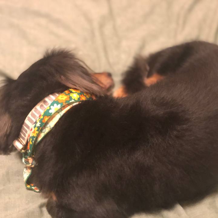 E34023a3 4402 4996 afab 9ec02b04f49a 1573993915109