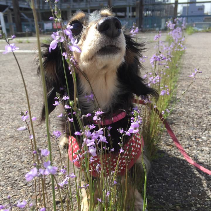 E340253f 5550 40b0 aba8 2196d951635d 1523838321886