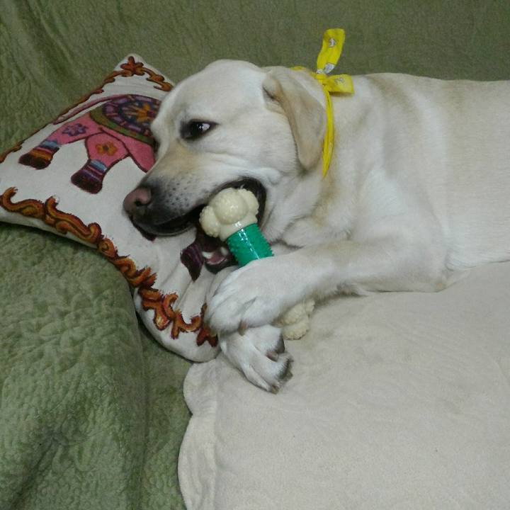 E3402ac1 fdfe 4859 ae9b d8c8cd687dbe 1512823095580