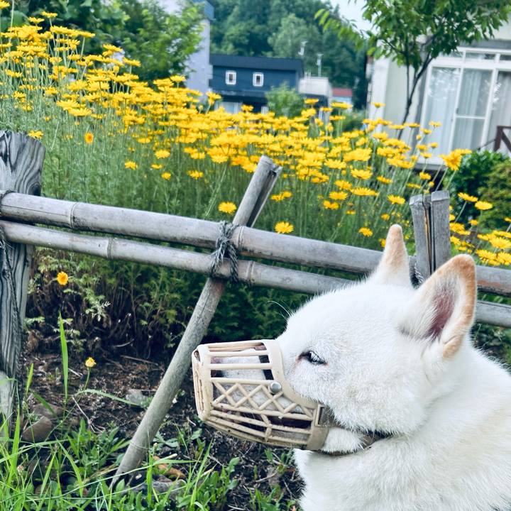 E3402dff e223 4d0d 9f97 2baf0986f16c 1720214391881