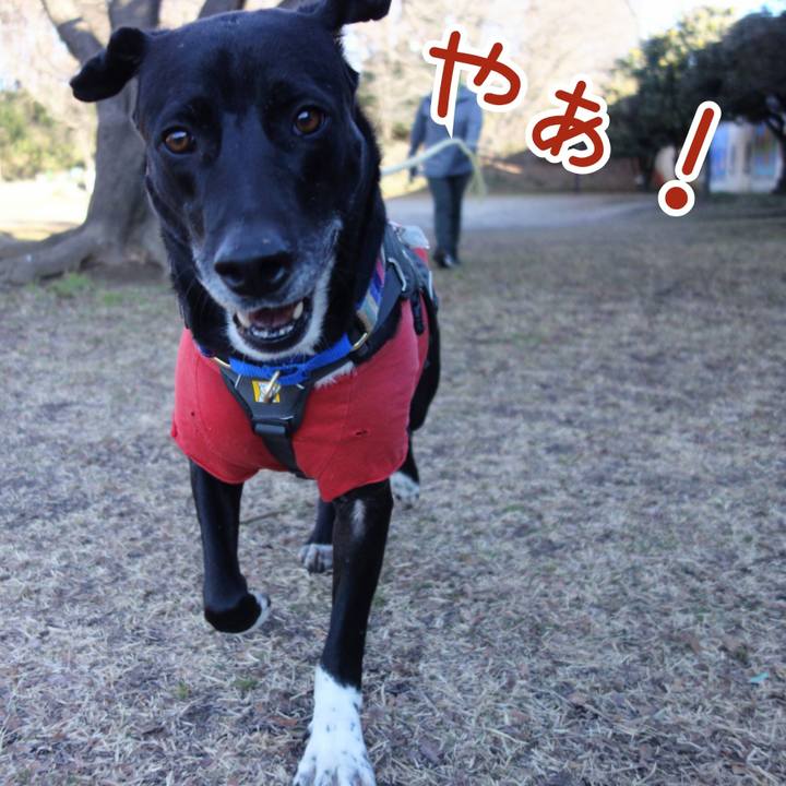 E3406457 a366 483b 87ee 1bb327ed5f41 1645838729121