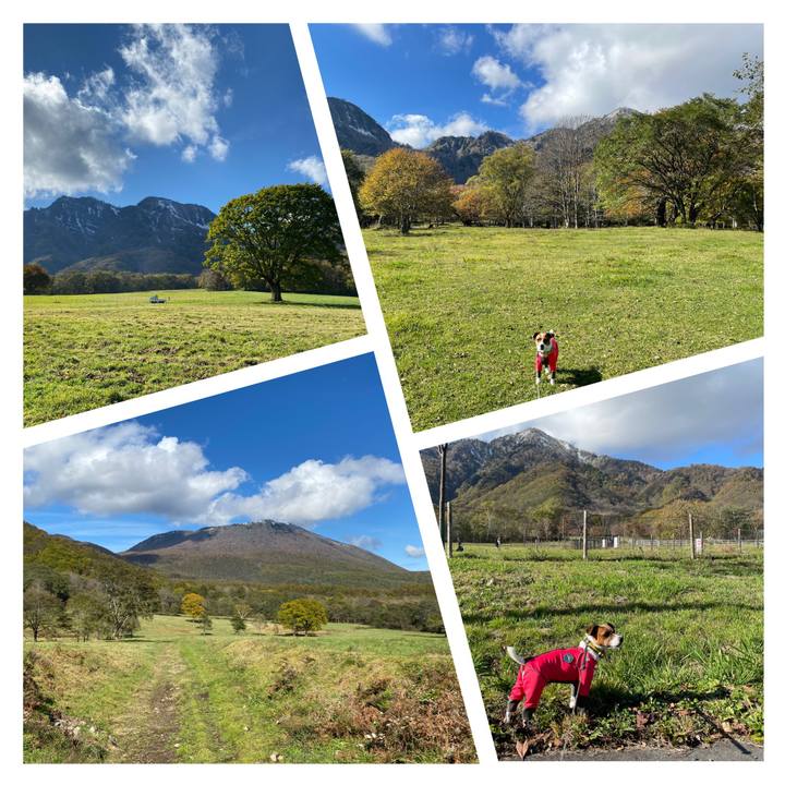 E340704c 020e 406b a32e d348b634e315 1635058089014