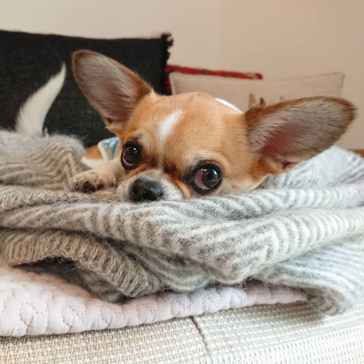 E340854a fa34 48ab ac40 a20bfde5c89a 1590901621472