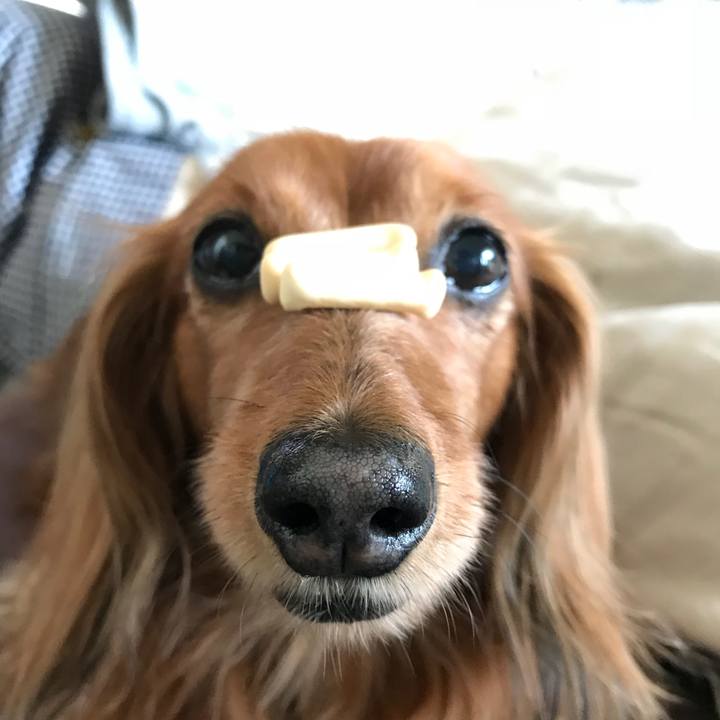 E3408b28 387d 41f8 bc30 1eb0f4bb6037 1523430567713