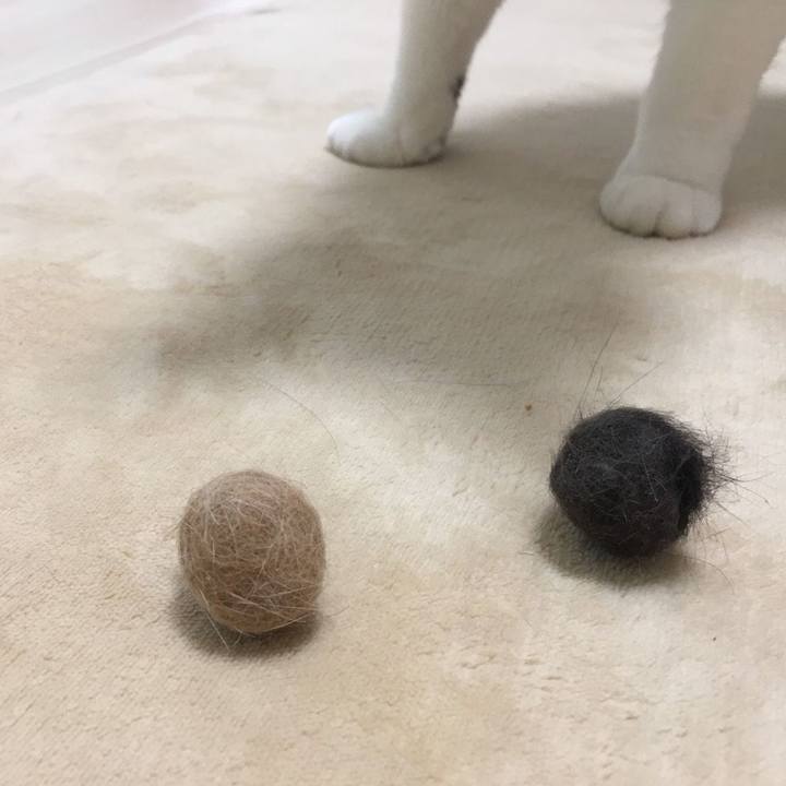 E340af3d 2faa 40c2 b993 62dfaf837657 1586385115568