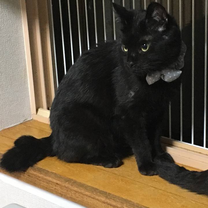 E340bd5a 114a 4473 8c29 5f1522a6b7eb 1532244353077