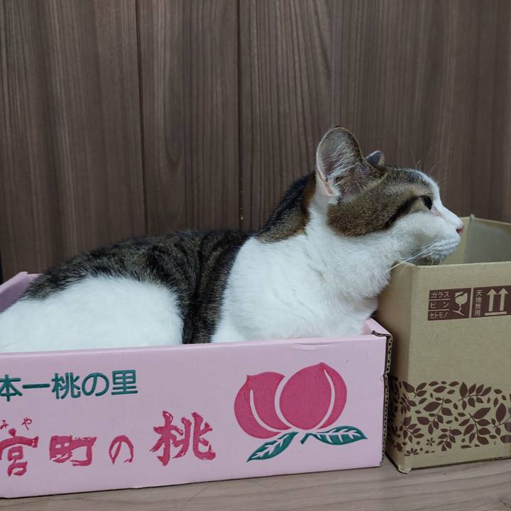 E340e5c5 a261 43a1 bb3f a3fddf9655c7 1633297507609