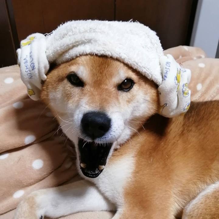 E340f765 90d1 49be 832f 3cf767c40833 1623676096690