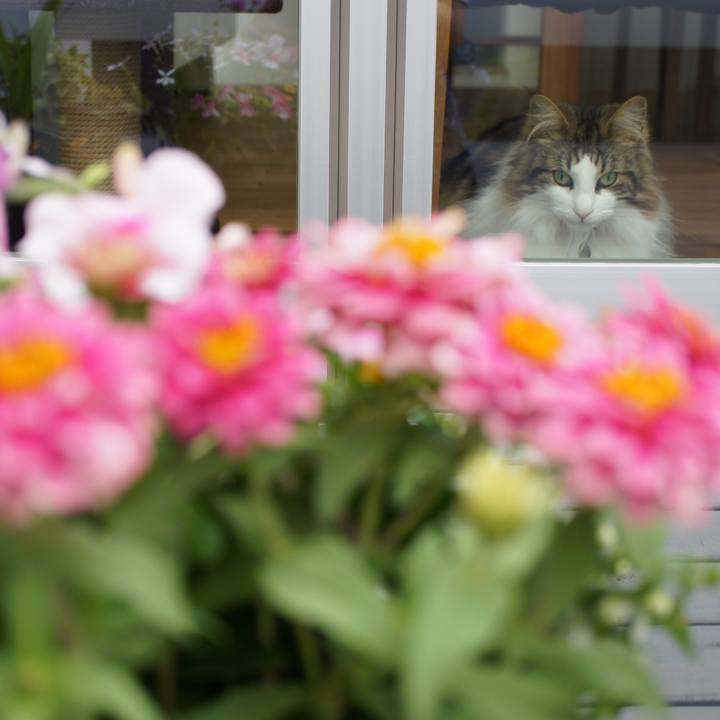 E3411b0f 0c46 4724 b14f acd8bd2793ac 1527728759220