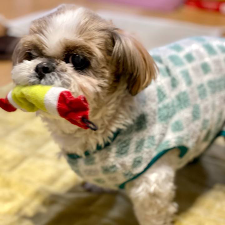 E34120a5 0640 4f0f a2d2 580b27b920b1 1673528782193