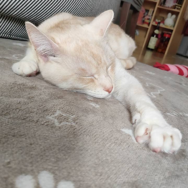 E3419d15 e89e 4bc5 92bb 3beac4a9241c 1675389184142