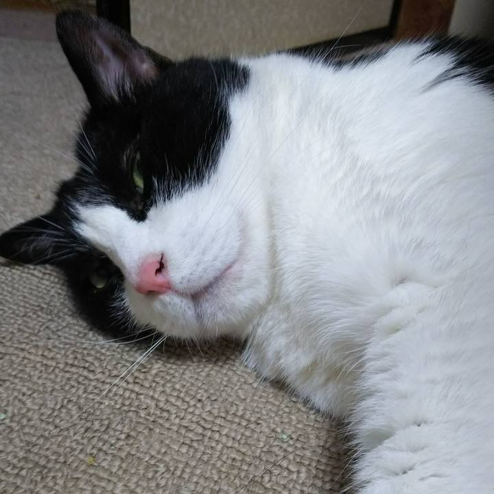 E341d0c6 e778 4e57 88a6 00563ff2361a 1534889411966