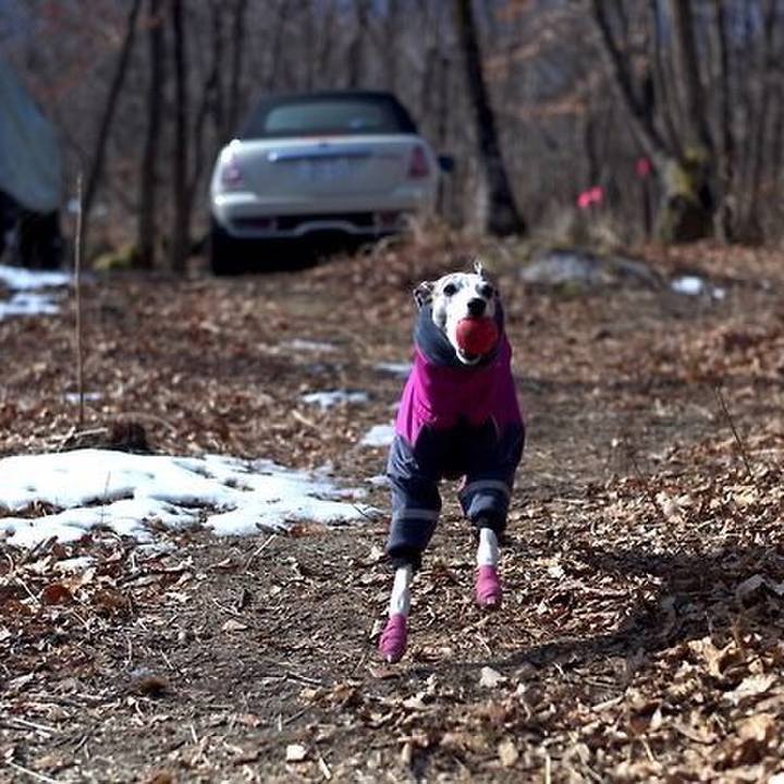 E341f62b 71de 46bd 8a16 bd5f95191cd4 1521371666890