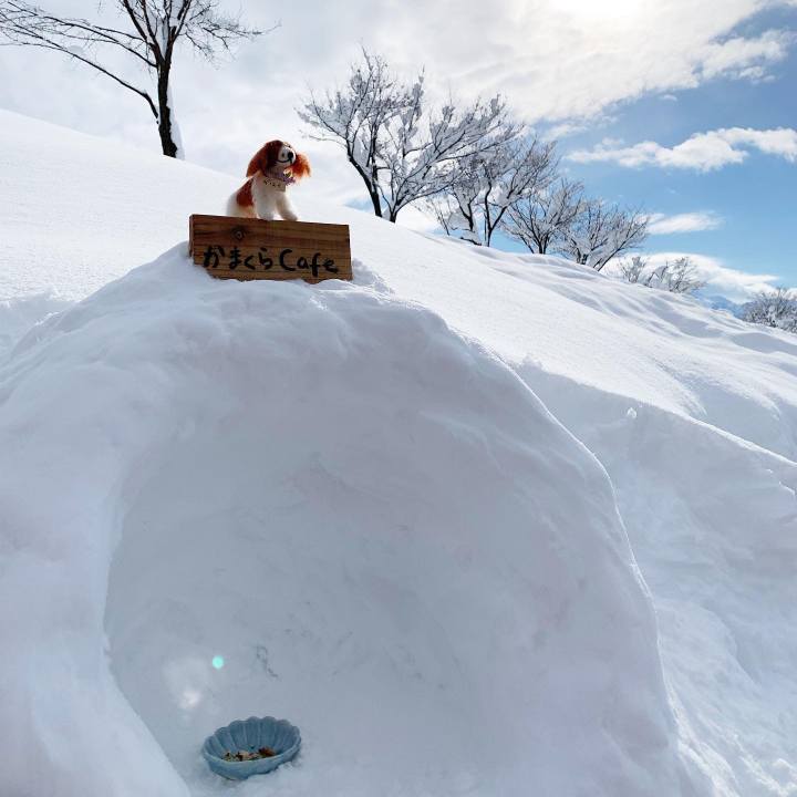 E341fdca e060 42cc 8d3e bfe678d8c58e 1674955544494