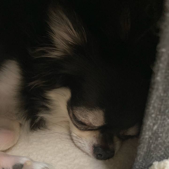 E3421ddd 6047 4f0b be7c 5552da955ad1 1660991822793