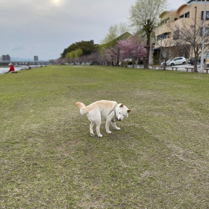 E3422d3b ba0f 4cc9 9e31 e5ca58f8cd44 1648211038755