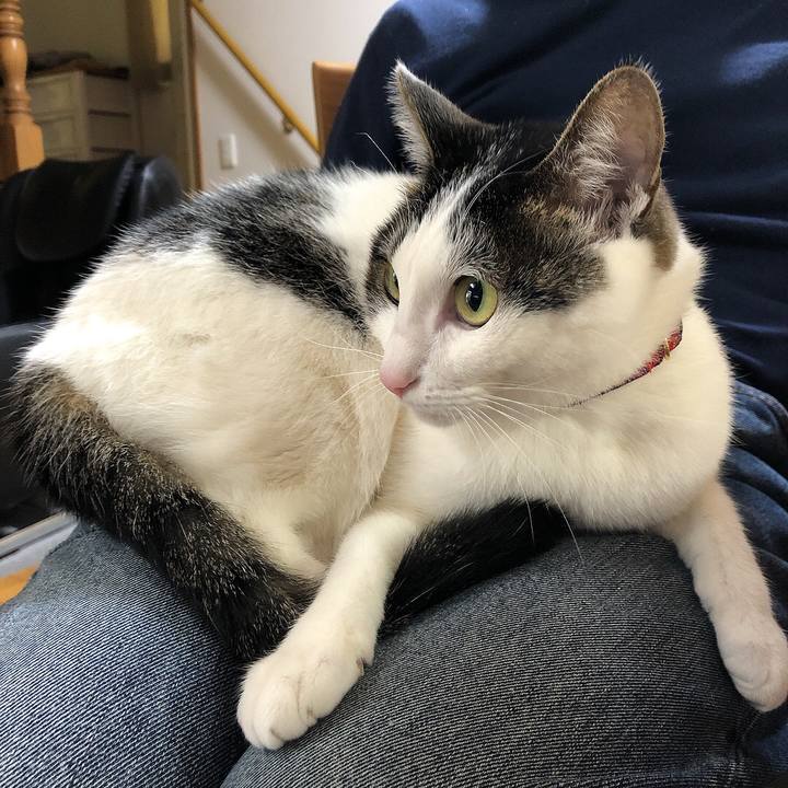 E34240c8 ea43 4195 abfd 24f3e9d73168 1638659545634