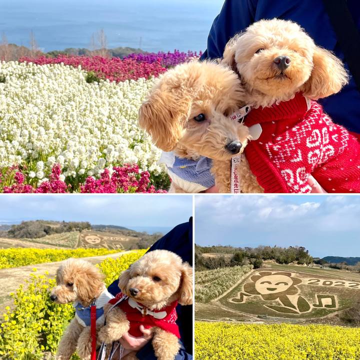 E34255c1 8fa1 4c73 b107 70687ef2bb11 1646031749031