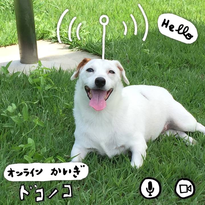 E3425e68 c245 4fd8 814a 16eb6ef4c16e 1590735338209