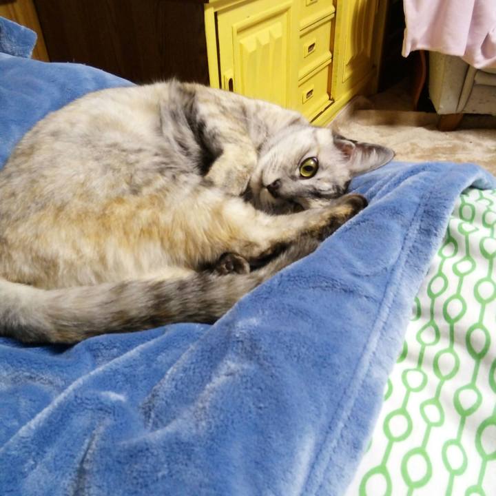 E342b113 abbb 405a a623 9fb530fcdc6d 1513814971678