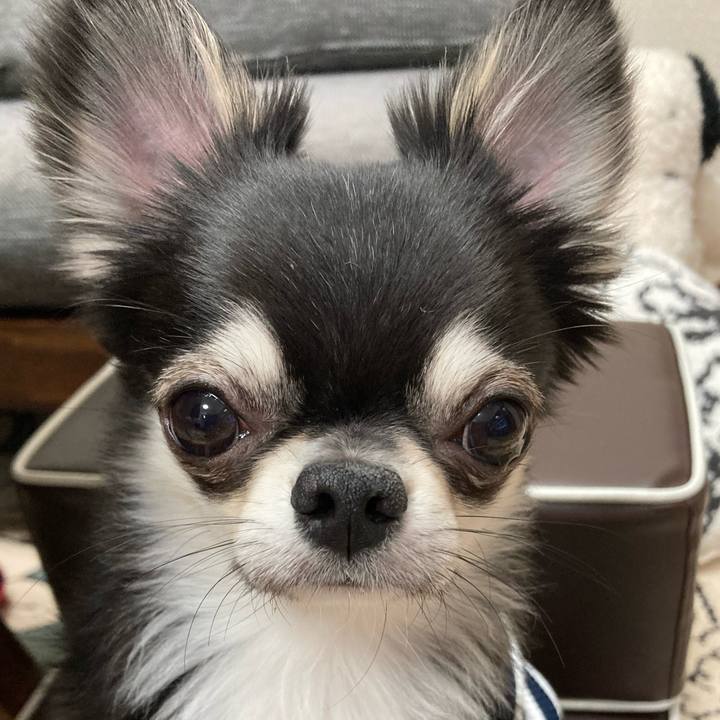 E342b8af 7eed 422a b087 56dcdde472fb 1619703453318