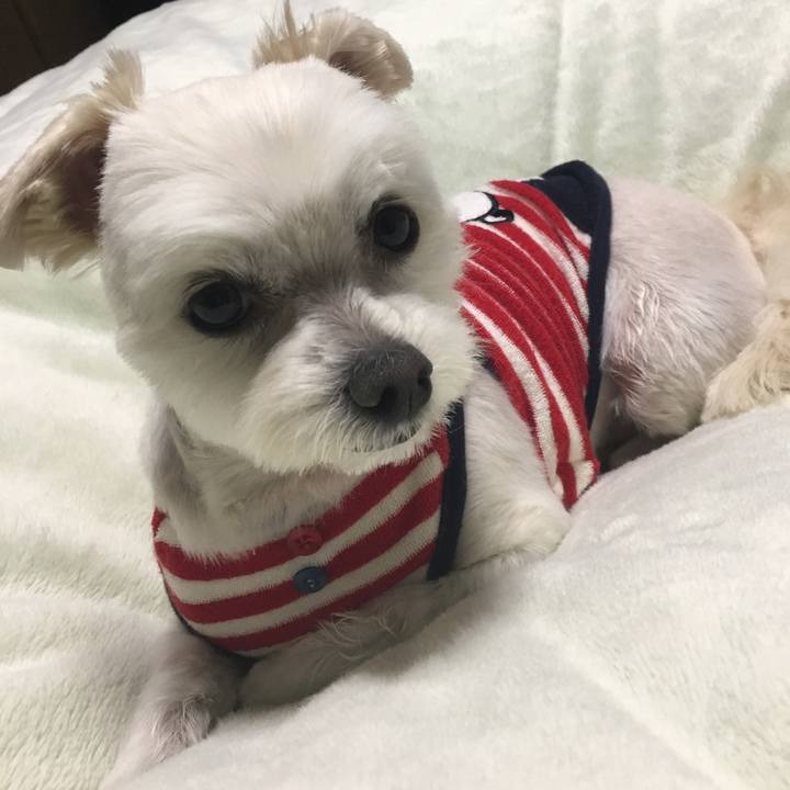 E342dab4 36be 45b2 a0a9 9f26ce8b6458 1524051421384